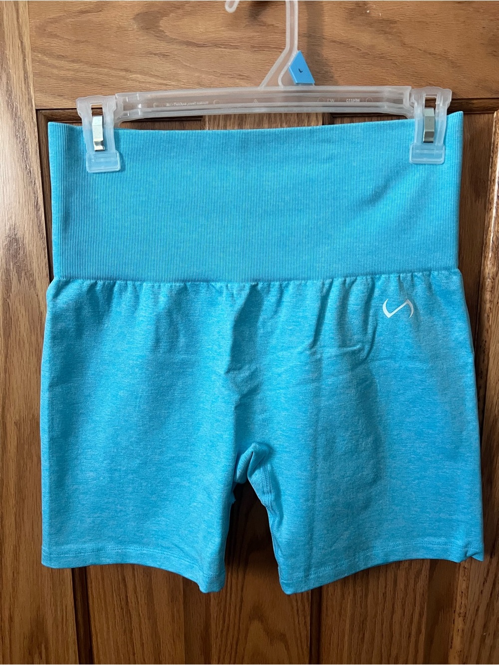 Large Womens Aqua Blue Stretch Bike Shorts